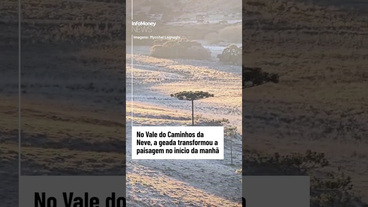 VEJA: Geada transforma paisagem em Santa Catarina