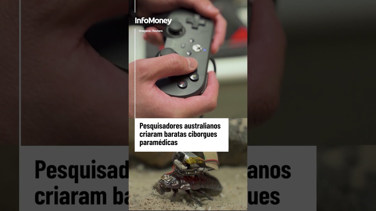 Vítimas de terremotos podem receber injeções e ter localização identificada por baratas-ciborgues